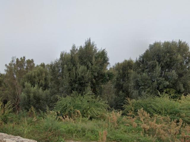 Agricoli in vendita
