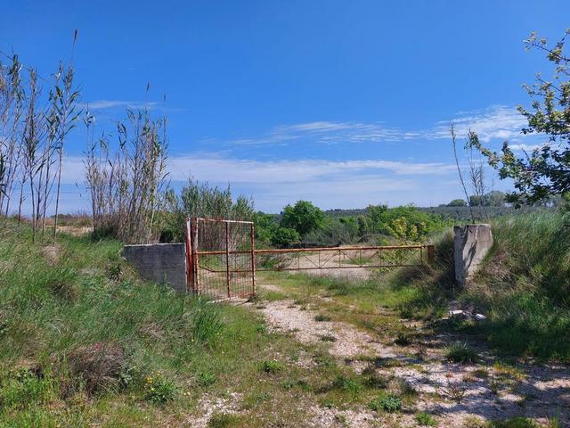 Agricoli in vendita