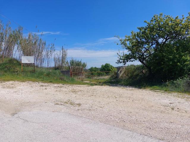 Agricoli in vendita