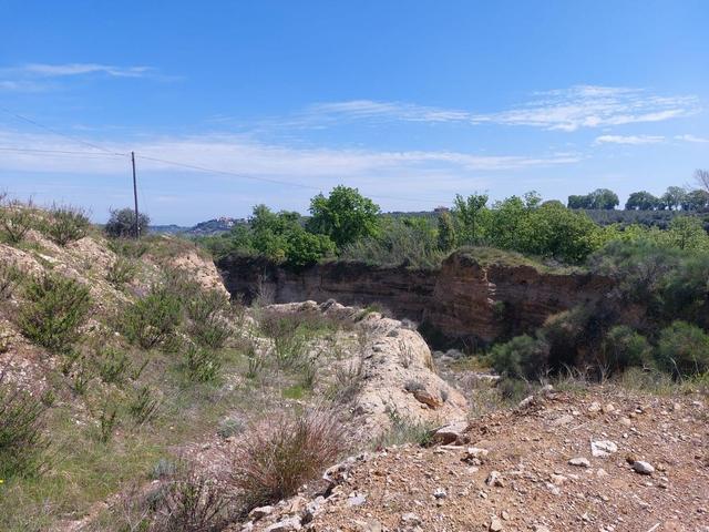 Agricoli in vendita