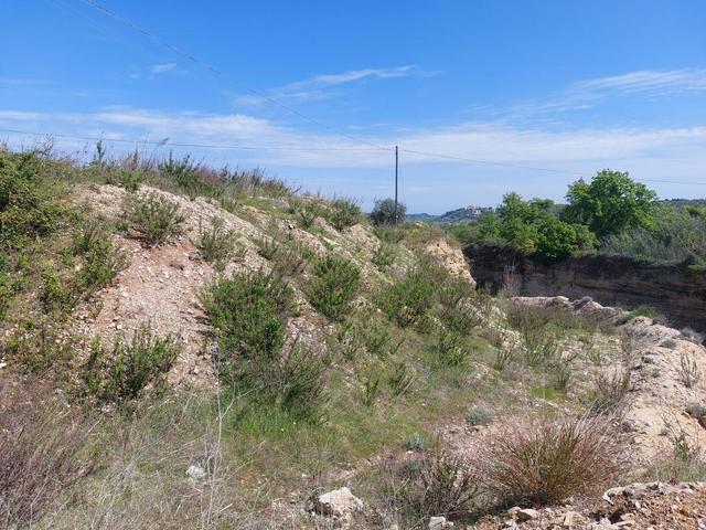 Agricoli in vendita