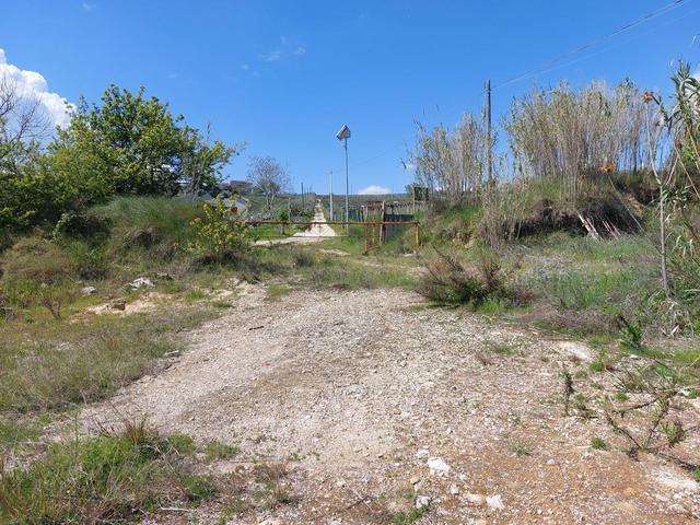 Agricoli in vendita