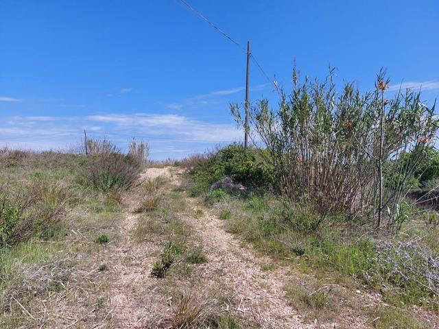 Agricoli in vendita