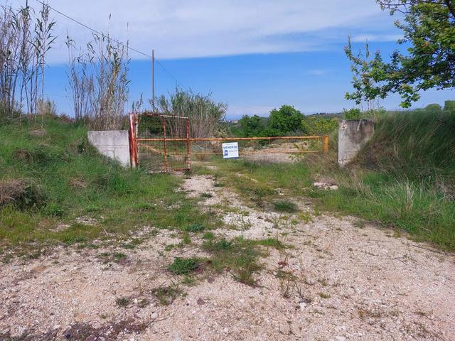 Agricoli in vendita