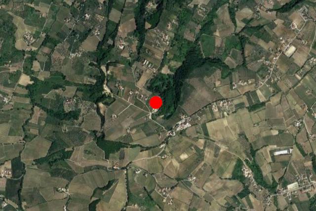 #24765 Terreno a cava di 11.990 mq in vendita - foto 12