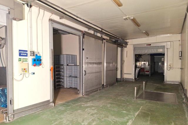 #2537797 Edificio produttivo con celle e attrezzature in vendita - foto 2