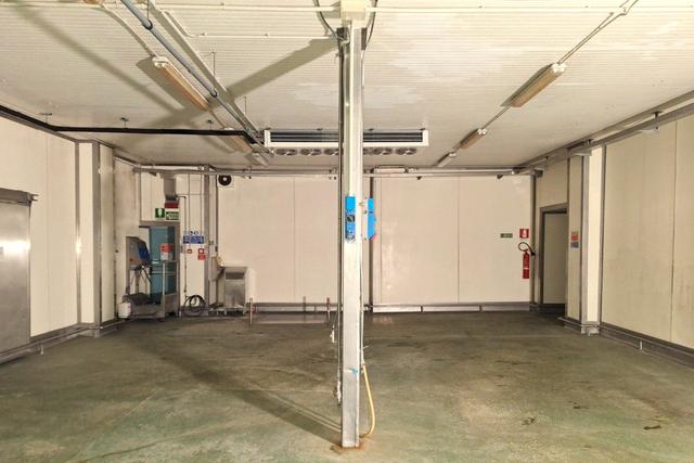 #2537797 Edificio produttivo con celle e attrezzature in vendita - foto 6