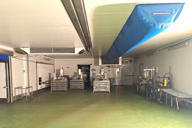 #2537797 Edificio produttivo con celle e attrezzature in vendita - foto 11