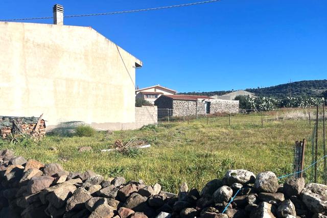 Agricoli in vendita