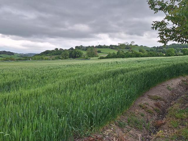 Agricoli in vendita