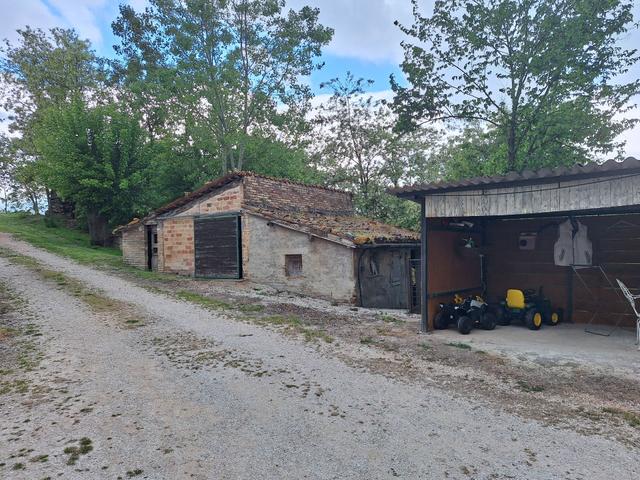 Agricoli in vendita