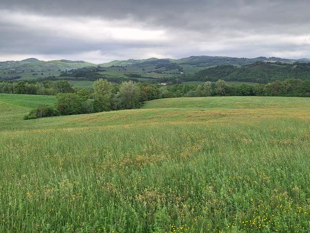 #2639827 Terreni Cagli in vendita - foto 13