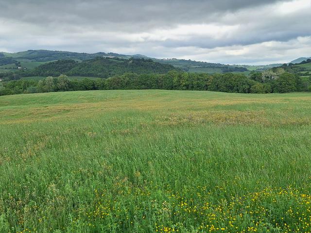 Agricoli in vendita