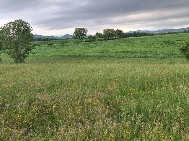 Agricoli in vendita
