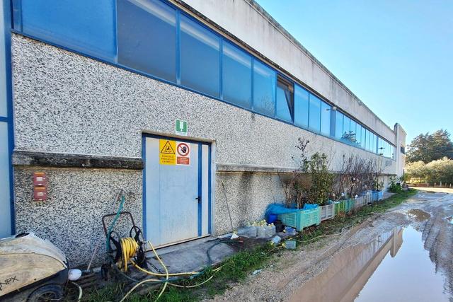 Artigianali in vendita