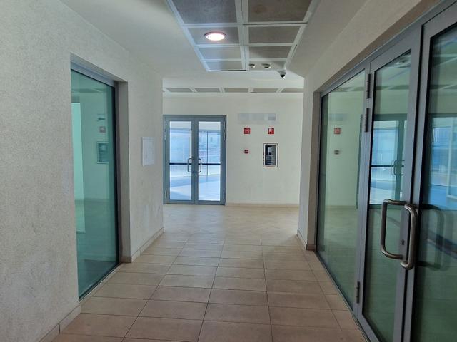 Grandi dimensioni in vendita