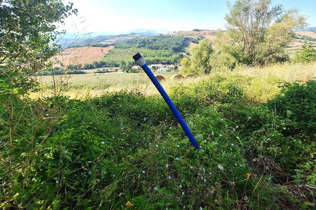 Agricoli in vendita
