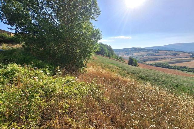 Agricoli in vendita