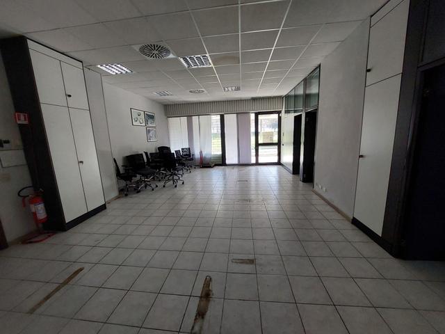 Grandi dimensioni in vendita