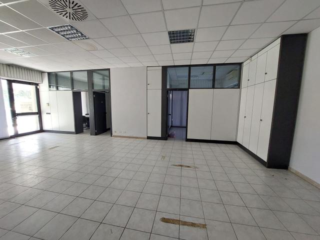 Grandi dimensioni in vendita