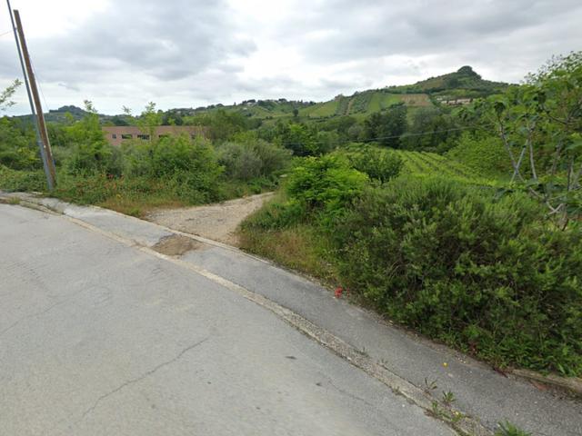 Agricoli in vendita