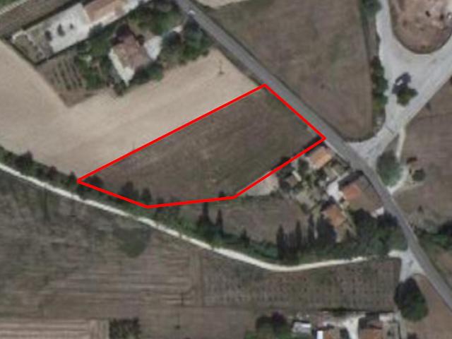 Agricoli in vendita