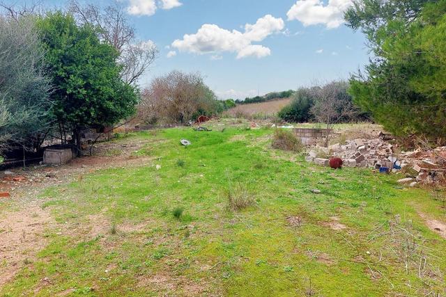 #22473 Terreno edificabile di 1637 mq in vendita - foto 2
