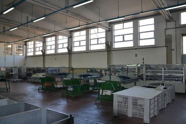#22513 Cessione d'azienda operante nel settore delle tecnologie per serramenti in vendita - foto 12