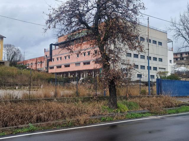 Stabilimenti produttivi in vendita