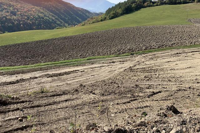 Agricoli in vendita