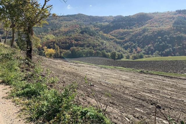 Agricoli in vendita
