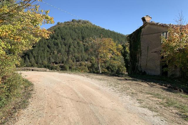 Agricoli in vendita