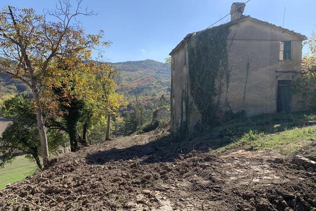 Agricoli in vendita