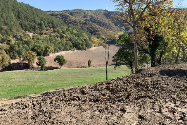 Agricoli in vendita
