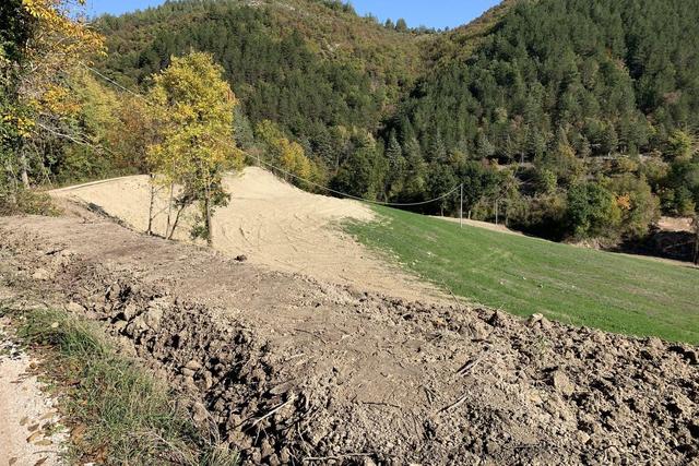 Agricoli in vendita