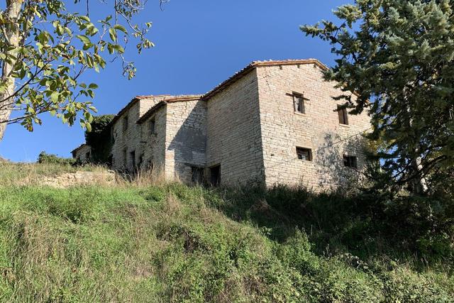 Agricoli in vendita