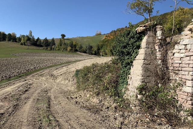 Agricoli in vendita