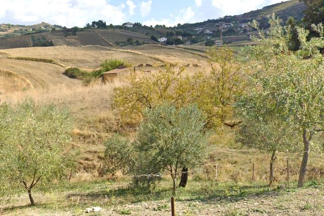 #25737 Terreno con capannone rurale in costruzione in vendita - foto 1