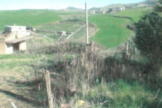 #25737 Terreno con capannone rurale in costruzione in vendita - foto 4