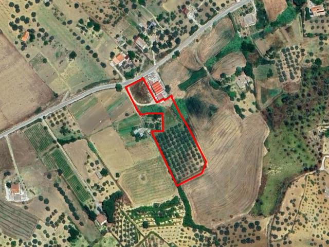 Agricoli in vendita