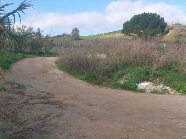 Agricoli in vendita