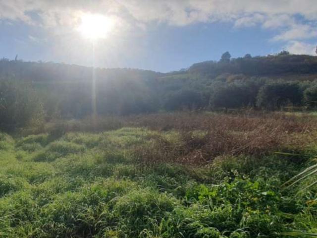 Agricoli in vendita