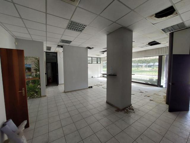 Grandi dimensioni in vendita