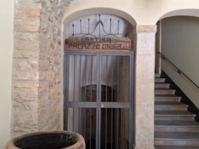 photogallery 32