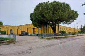 Capannoni artigianali in vendita