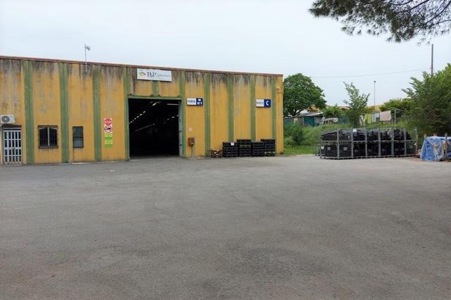 #17971 Capannone produttivo con servizi e cortile in vendita - foto 3