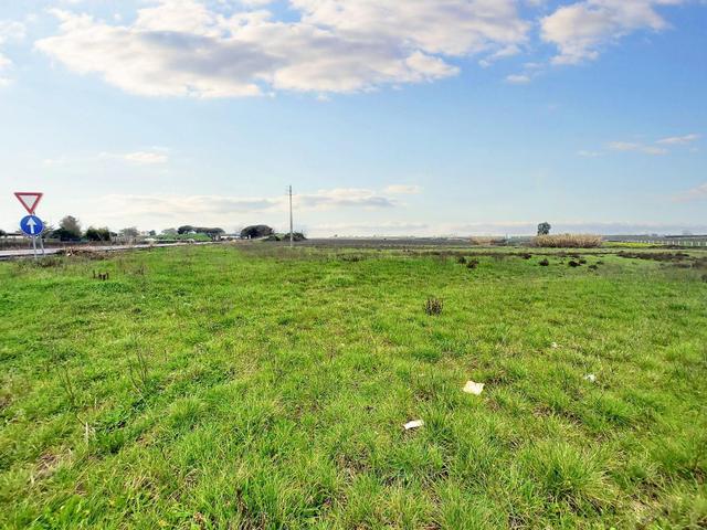 #23067 Terreno agricolo di 30.282 mq in vendita - foto 14