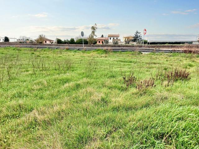 #23067 Terreno agricolo di 30.282 mq in vendita - foto 13
