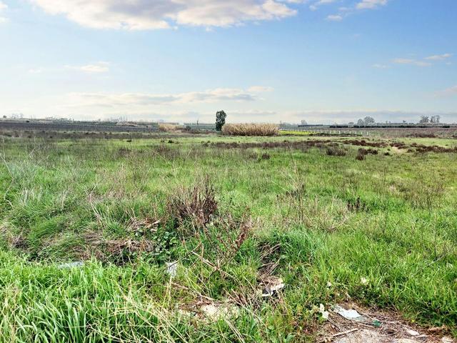 #23067 Terreno agricolo di 30.282 mq in vendita - foto 11