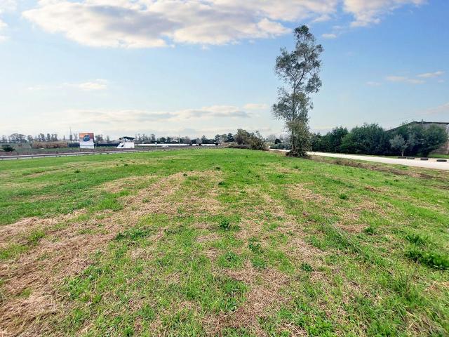 #23067 Terreno agricolo di 30.282 mq in vendita - foto 7